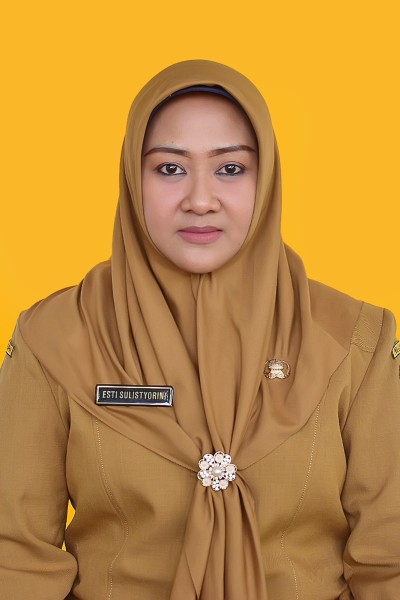 Dummy Guru 1