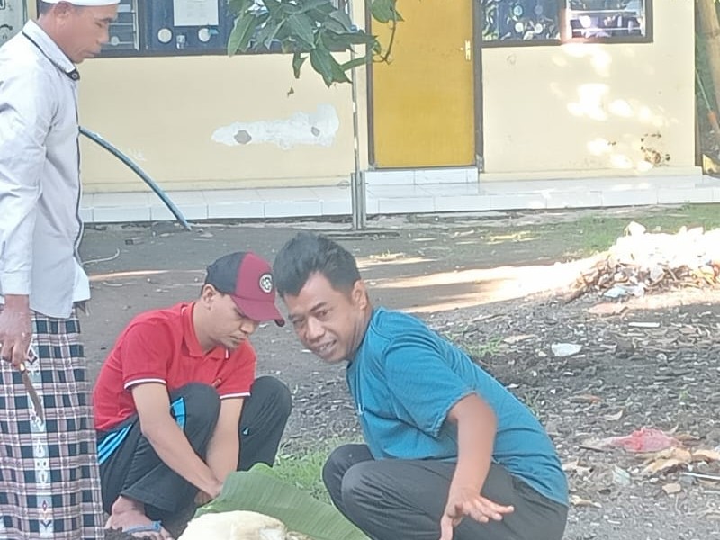 PELAKSANAAN PENYEMBELIHAN HEWAN QURBAN